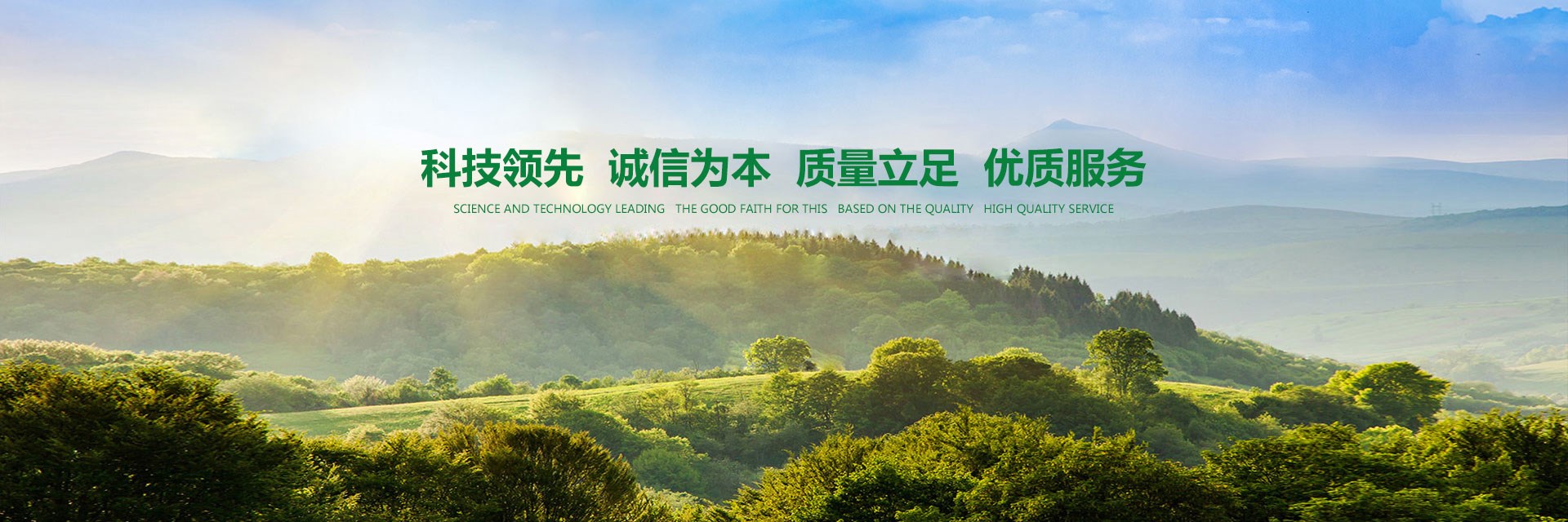 开云综合安卓版