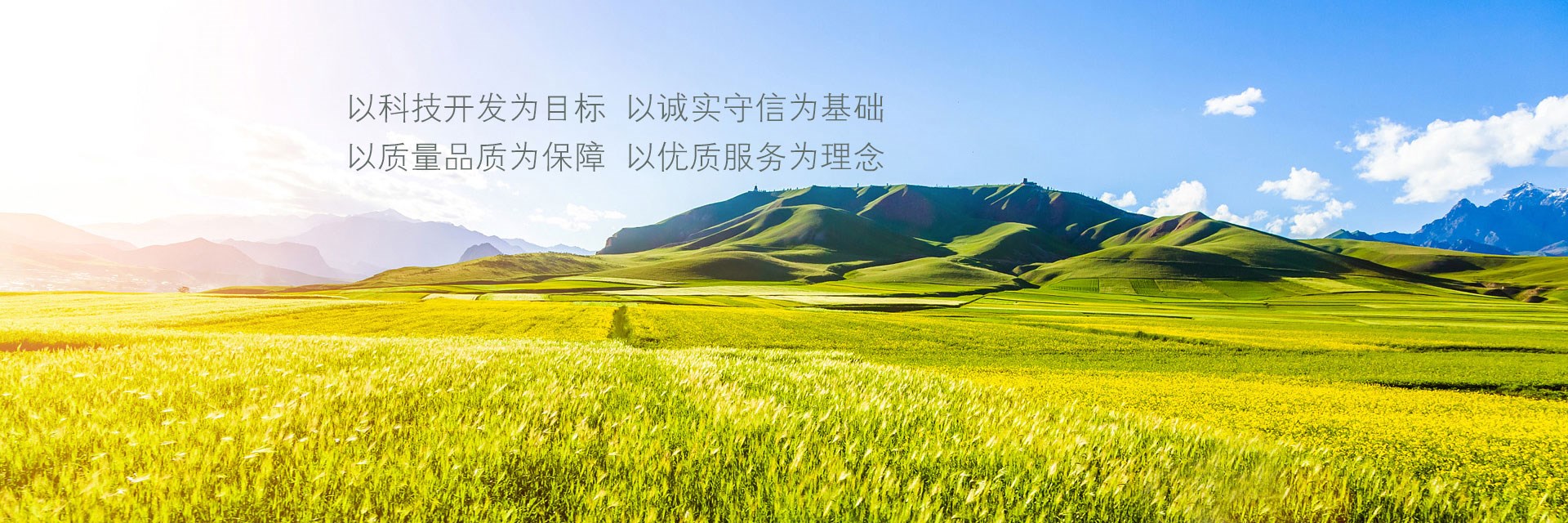 Kaiyun下载